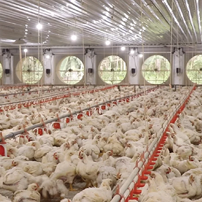 Pabrikasi Besi & Baja